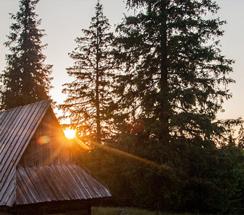 遠(yuǎn)望介紹圖